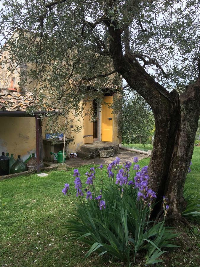 Settignano Tuscany Homes Exterior photo